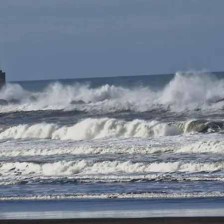 בית כפרי Complejo Rural Mimosas Del Nalon *
