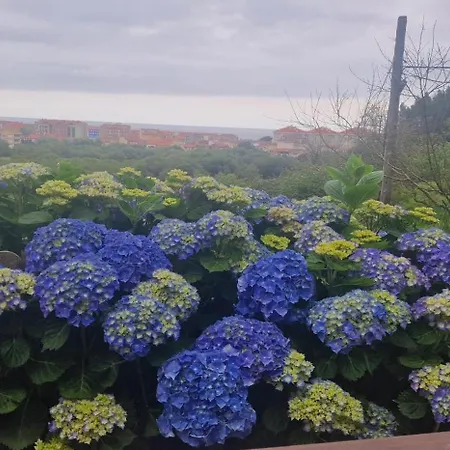 Complejo Turistico Mimosas Del Nalon San Juan De La Arena